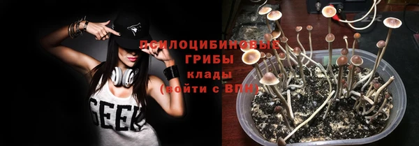 дмт Дмитровск