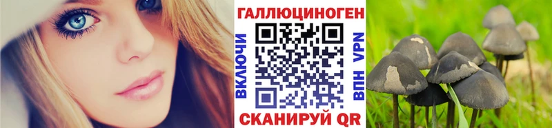 Галлюциногенные грибы Psilocybe  где продают   Лиски 