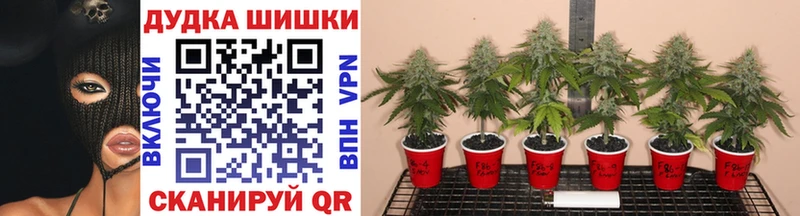 наркотики  Лиски  Конопля Ganja 